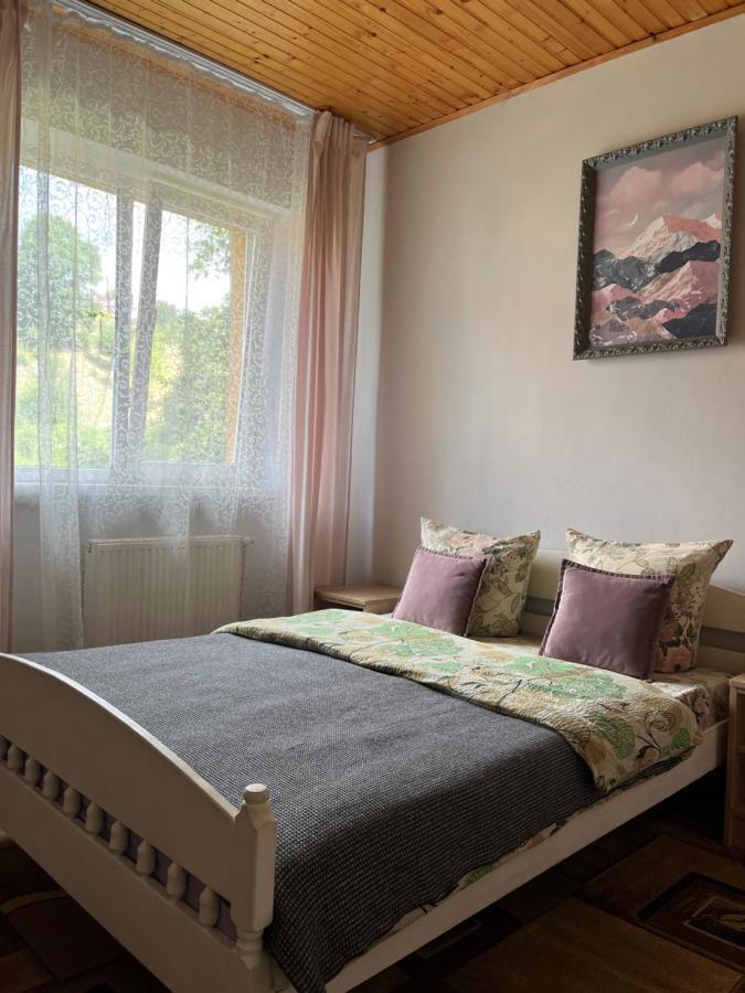 Ніч Над Карпатами Hotell Slavskoje Eksteriør bilde